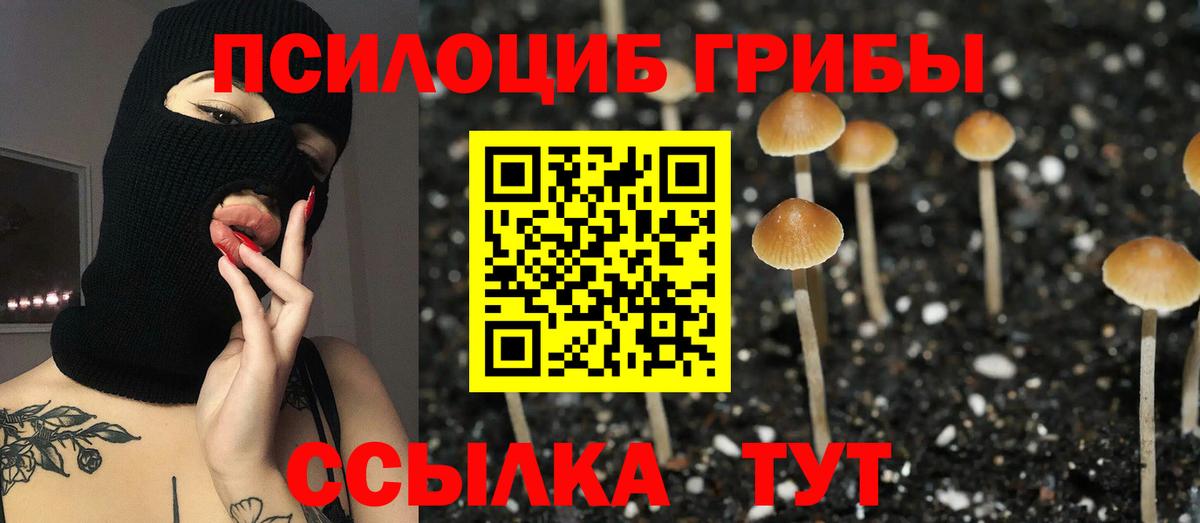 Заволжье  Галлюциногенные грибы MAGIC MUSHROOMS  Галлюциногенные грибы MAGIC MUSHROOMS  Вход с VPN 